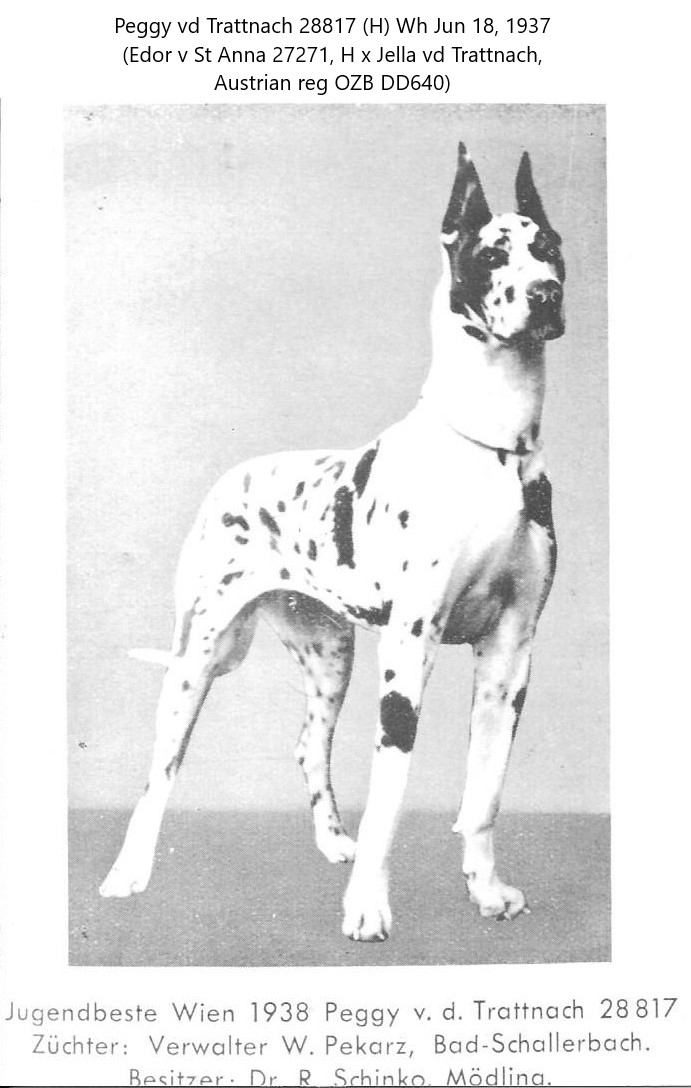 Peggy vd Trattnach